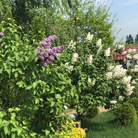Sofievsky Posad Hotel-3