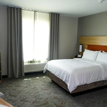 Candlewood Suites - Ocala I-75 By Ihg-3