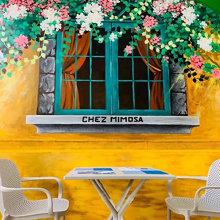 Chez Mimosa Petite - Free Laundry-3