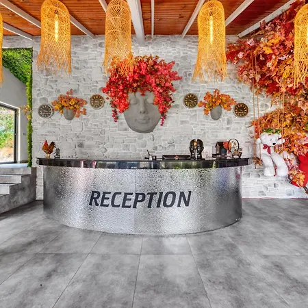 Illusion Beach & Clubhotel - Adults Only-3