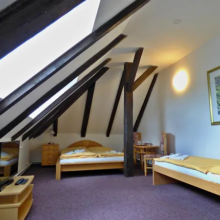 Hotel Svornost-3
