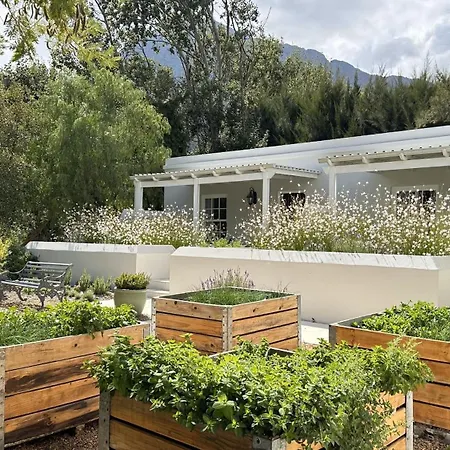 Lavender Farm Boutique Guest House-3