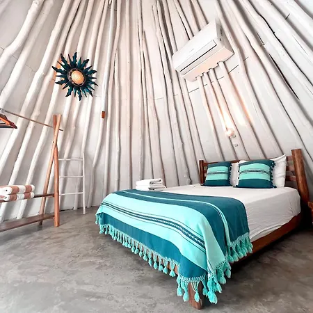Mimosa Tulum-2