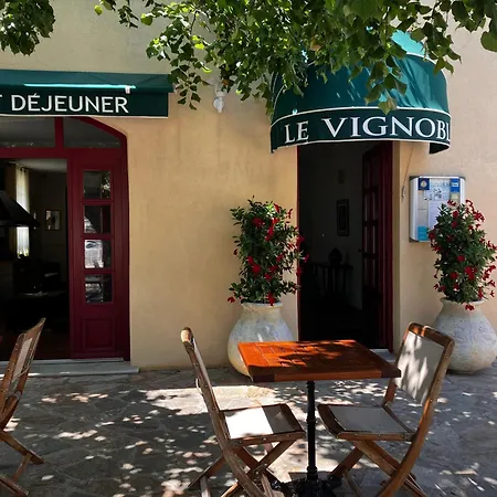 Hotel Du Vignoble-2