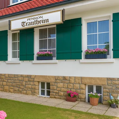Pension Trautheim-3