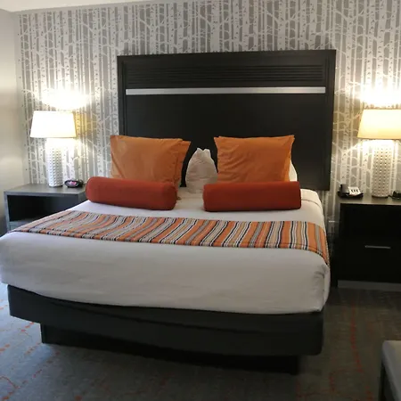 Best Western Corvallis-2