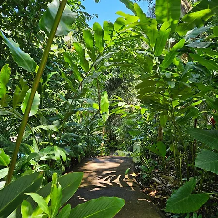 Pousada Ilha Verde-2