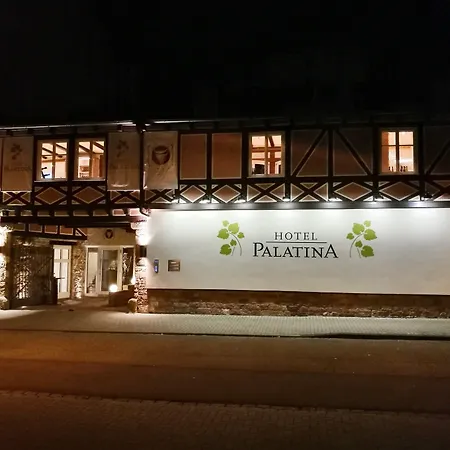 Hotel Palatina Hotel-Restaurant-3