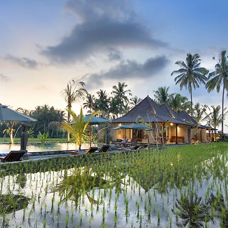 Pajar House Ubud Suite & Villas-3