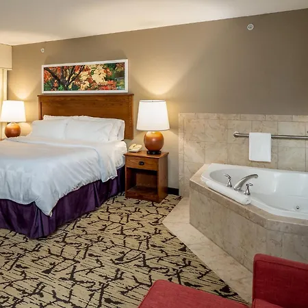Holiday Inn Stevens Point - Convention Center By Ihg-3