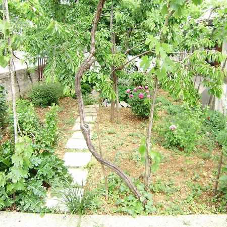 House Krk-2