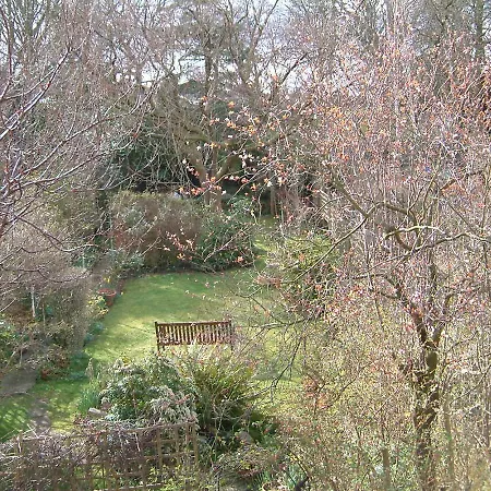 Terrace Hotel-2