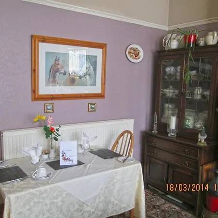 Camellia Lodge Guest House-2