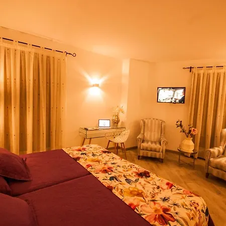 Hotel Hc Zoom-3