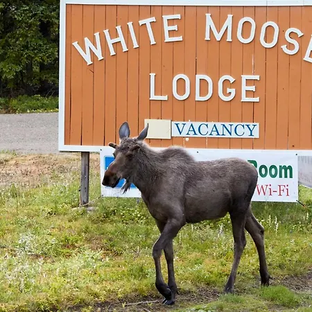 White Moose Lodge-3