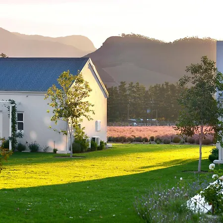 Lavender Farm Boutique Guest House-2