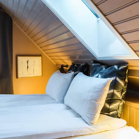 Reykjavik Treasure B&B-2