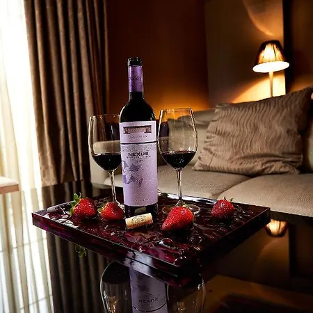 Nexus Valladolid Suites&Hotel-2