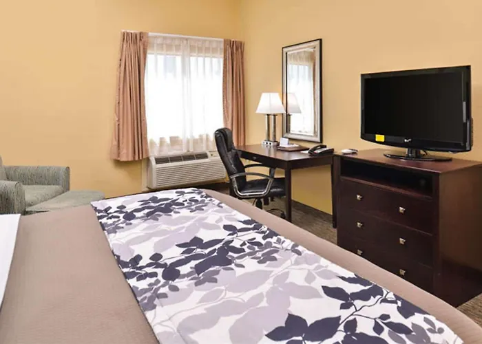 Sleep Inn And Suites Downtown Houston