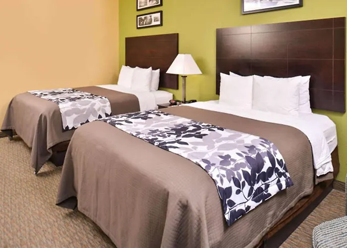 Sleep Inn And Suites Downtown Houston