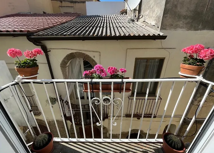 Pizzo Central House