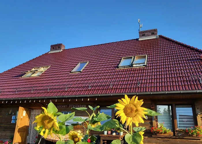 Dom Goscinny Ptaszarnia - Natura-Free Parking