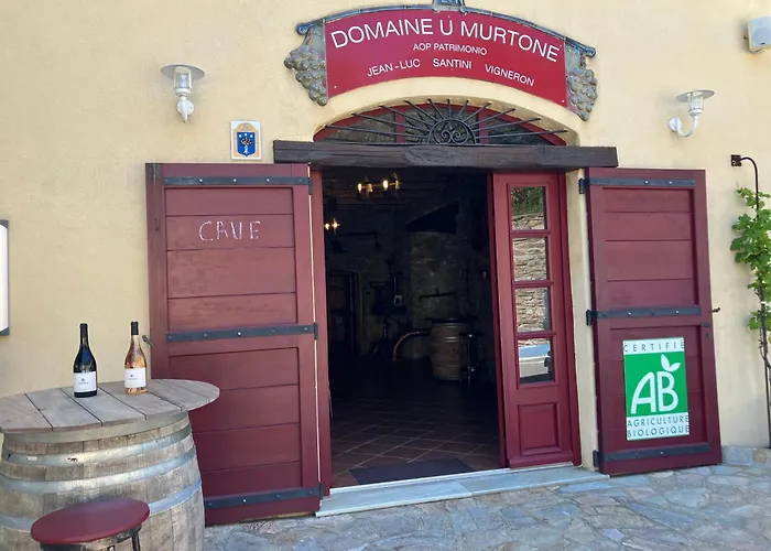 Hotel Du Vignoble