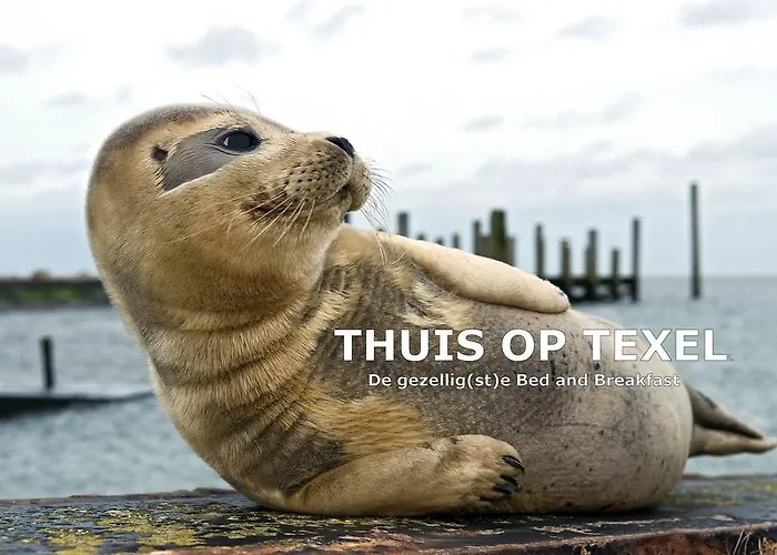 Thuis op Texel