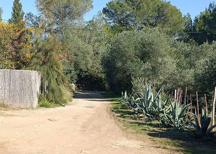Écoutez les oiseaux Arrivée en toute liberté Lunel 