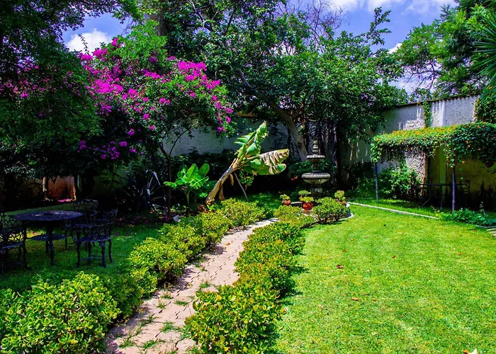 Posada Las Margaritas