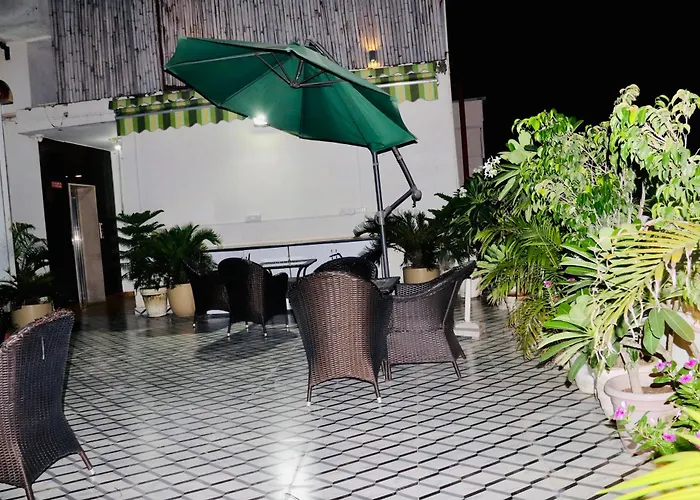 Hotel Magic Tree Karol Bagh Metro Station New Delhi