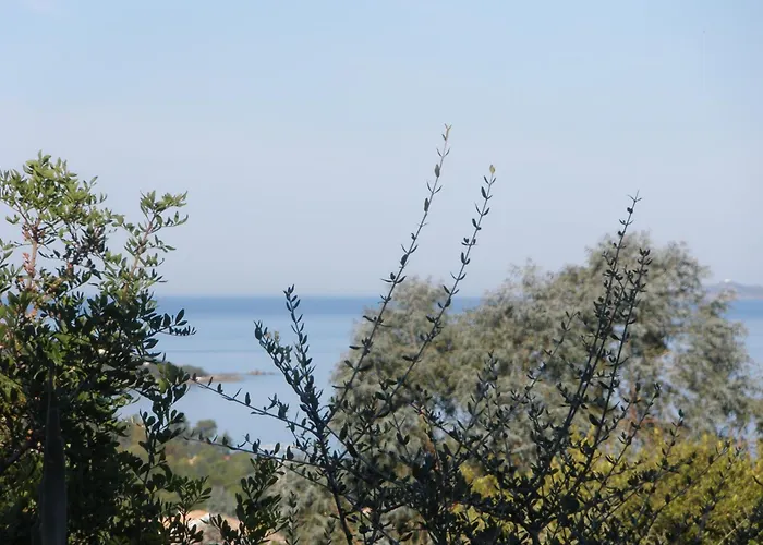 Hotel Celine Coti-Chiavari 