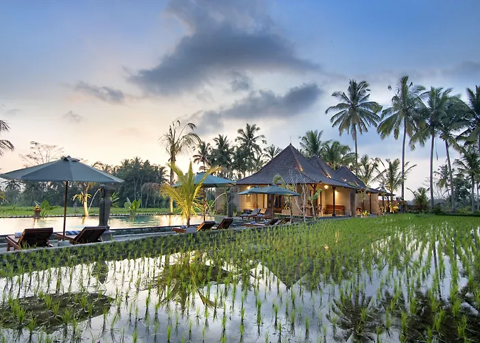 Pajar House Ubud Suite & Villas