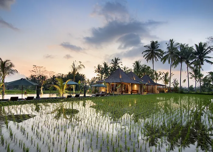 Pajar House Ubud Suite & Villas
