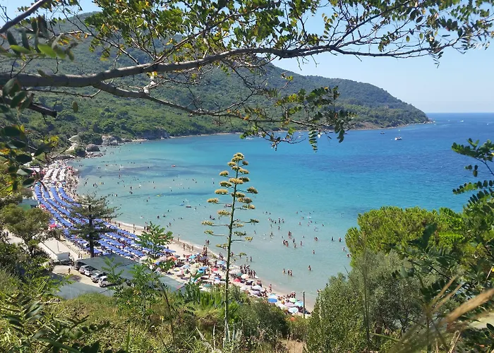 Bed and Breakfast I Delfini Agropoli