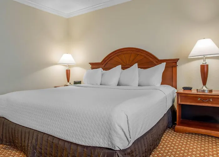 Quality Hotel Conference Center Cincinnati Blue Ash