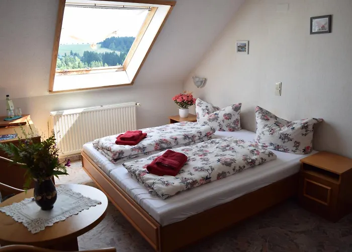 Hotel Carola Schönheide