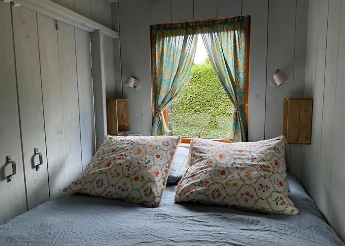 In de Aap - Appartementen&Guesthouse
