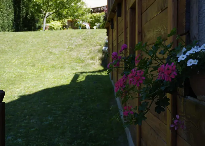 B&B Petit