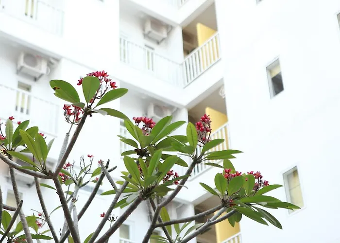 The Frangipani Living Arts Hotel And Spa